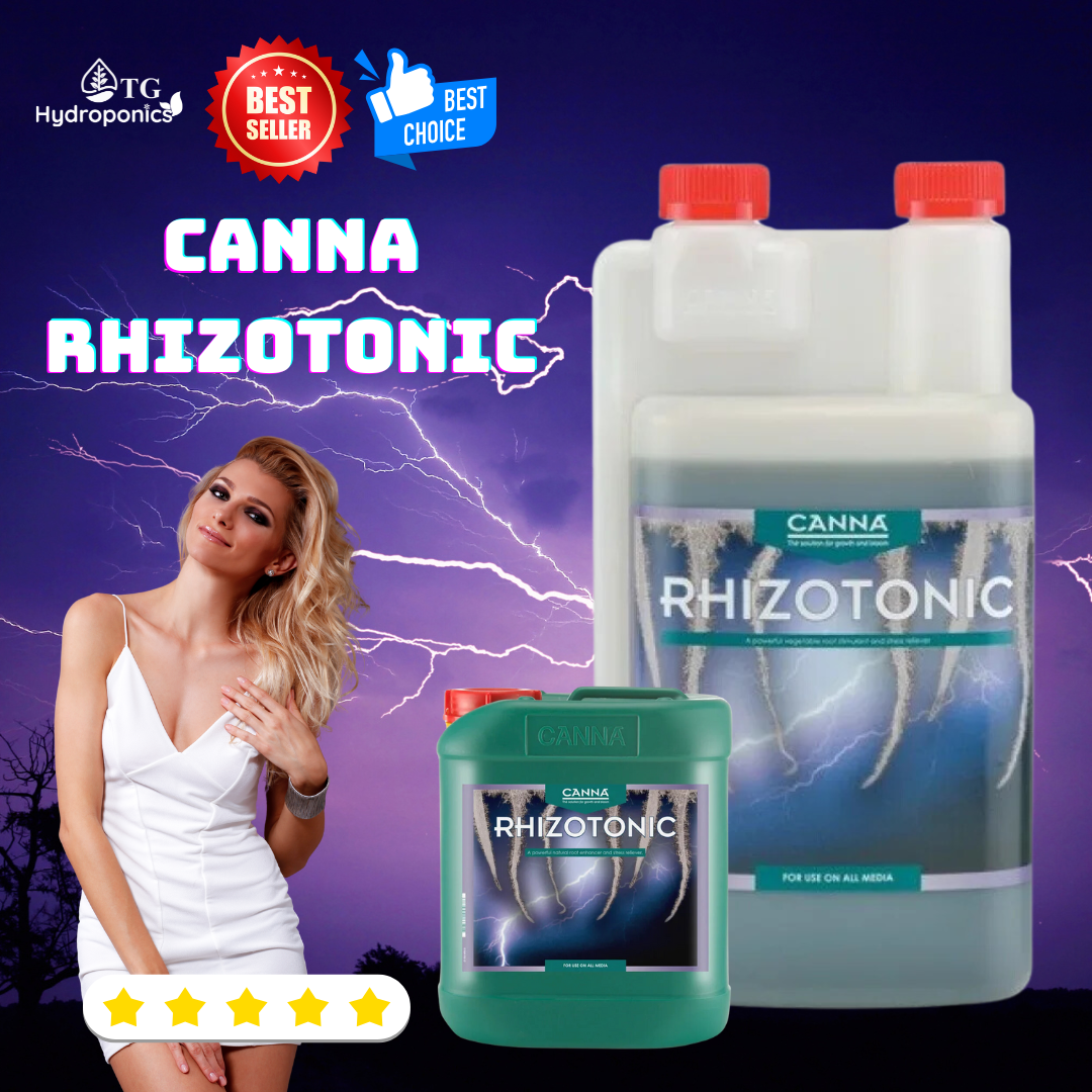 Canna Rhizotonic