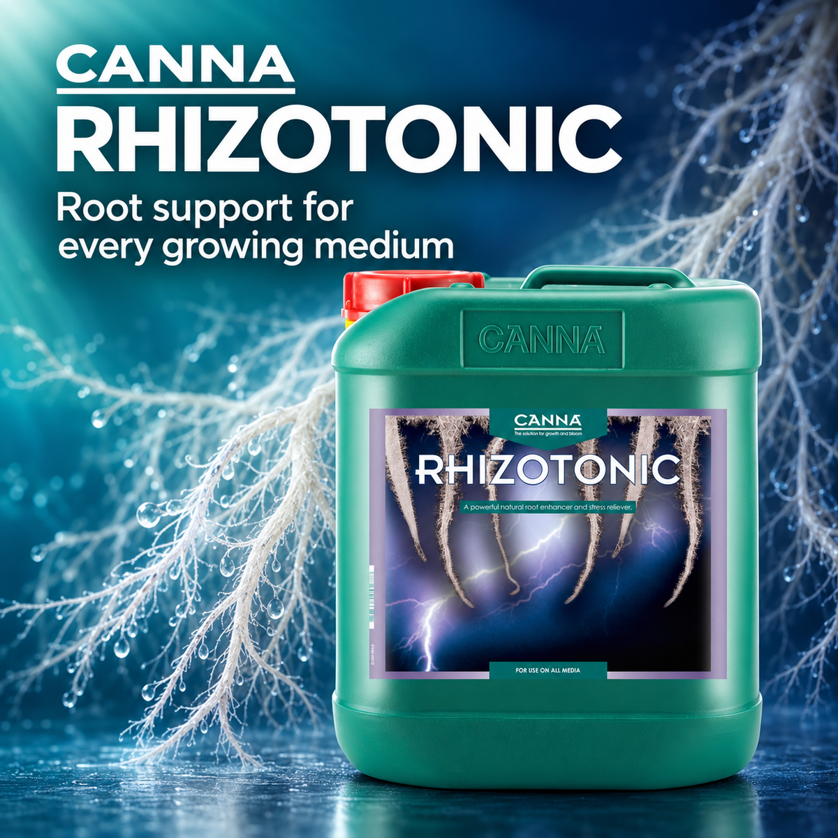 AI-created CANNA RHIZOTONIC 5L general advertisement with white roots on a teal background.