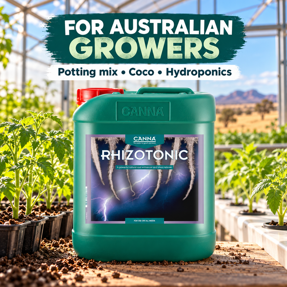 AI-created CANNA RHIZOTONIC 5L product scene for Australian growers in a tomato greenhouse.