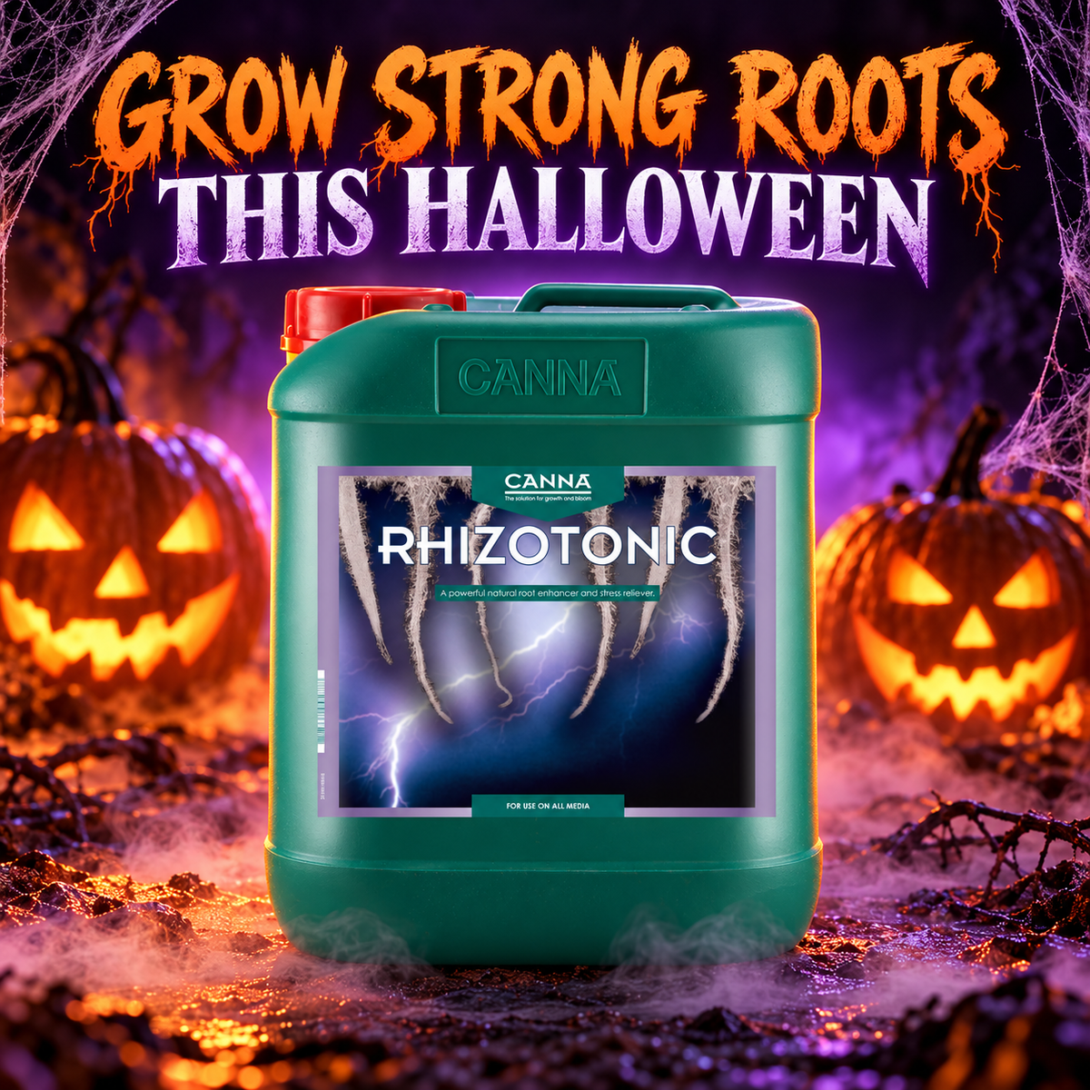 AI-created CANNA RHIZOTONIC Halloween hero with pumpkins, purple light and orange accents.