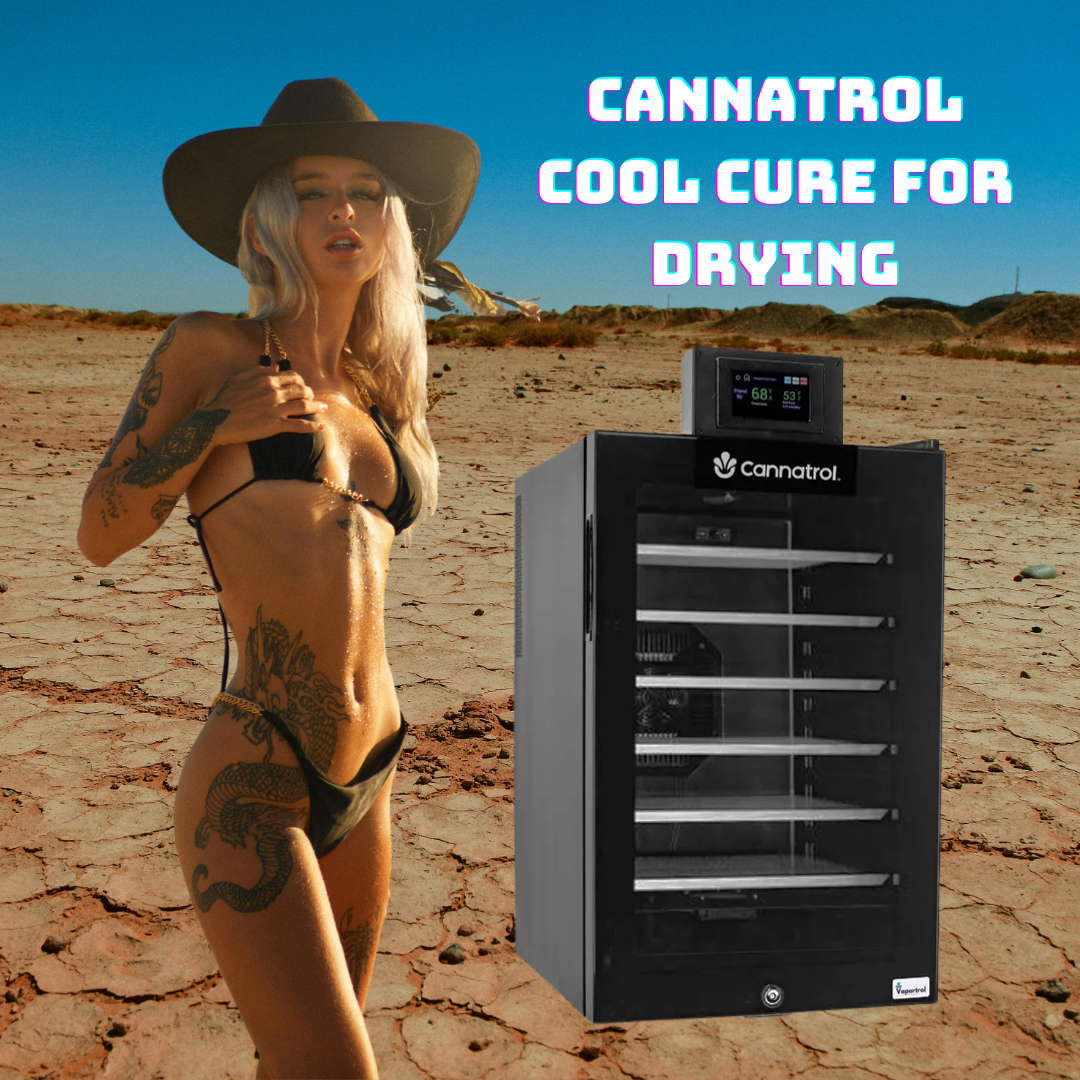 Cannatrol Cool Cure For Drying | Storing