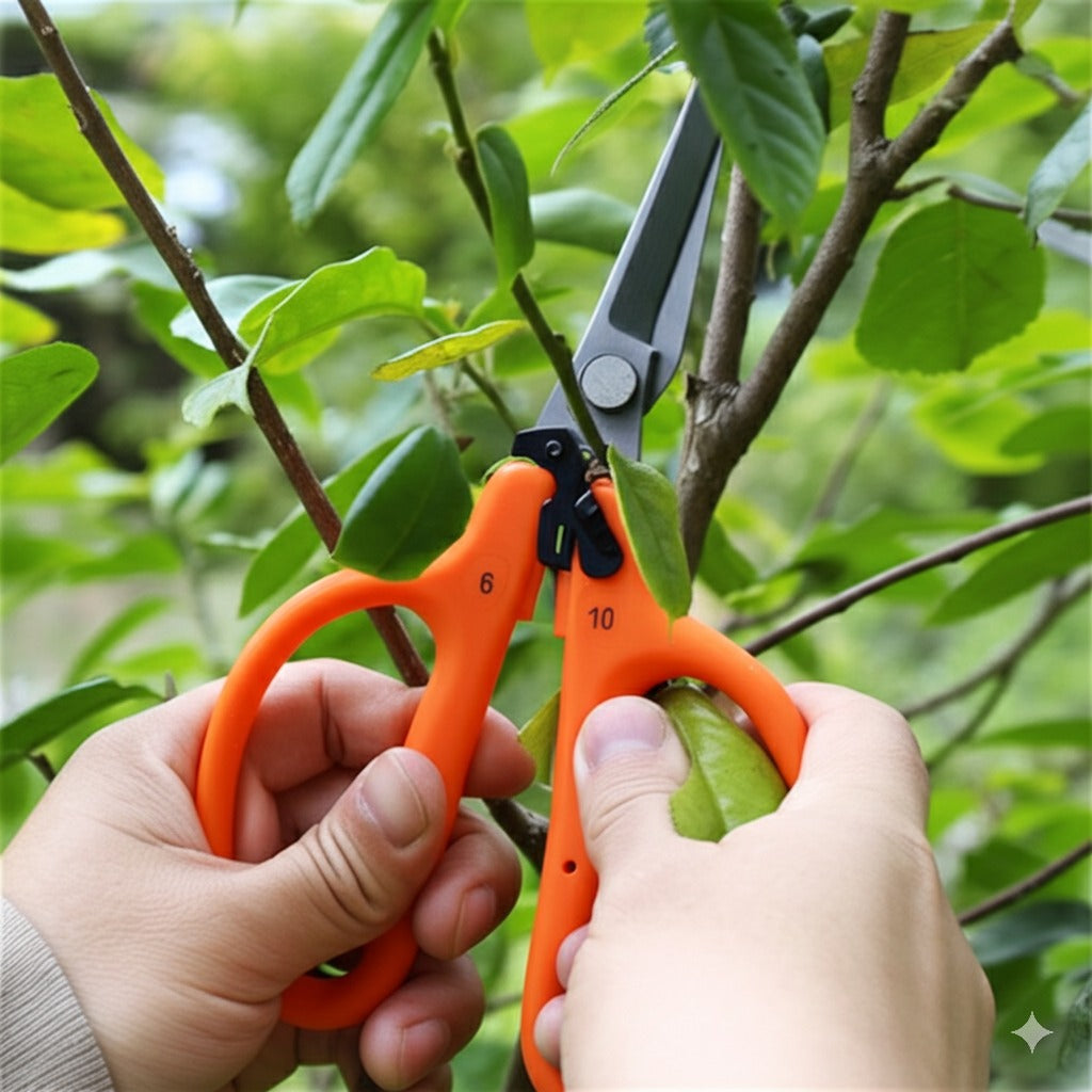 Chikamasa Scissors B-500SLF