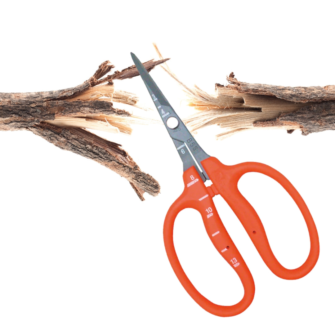 Chikamasa Scissors B-500SLF