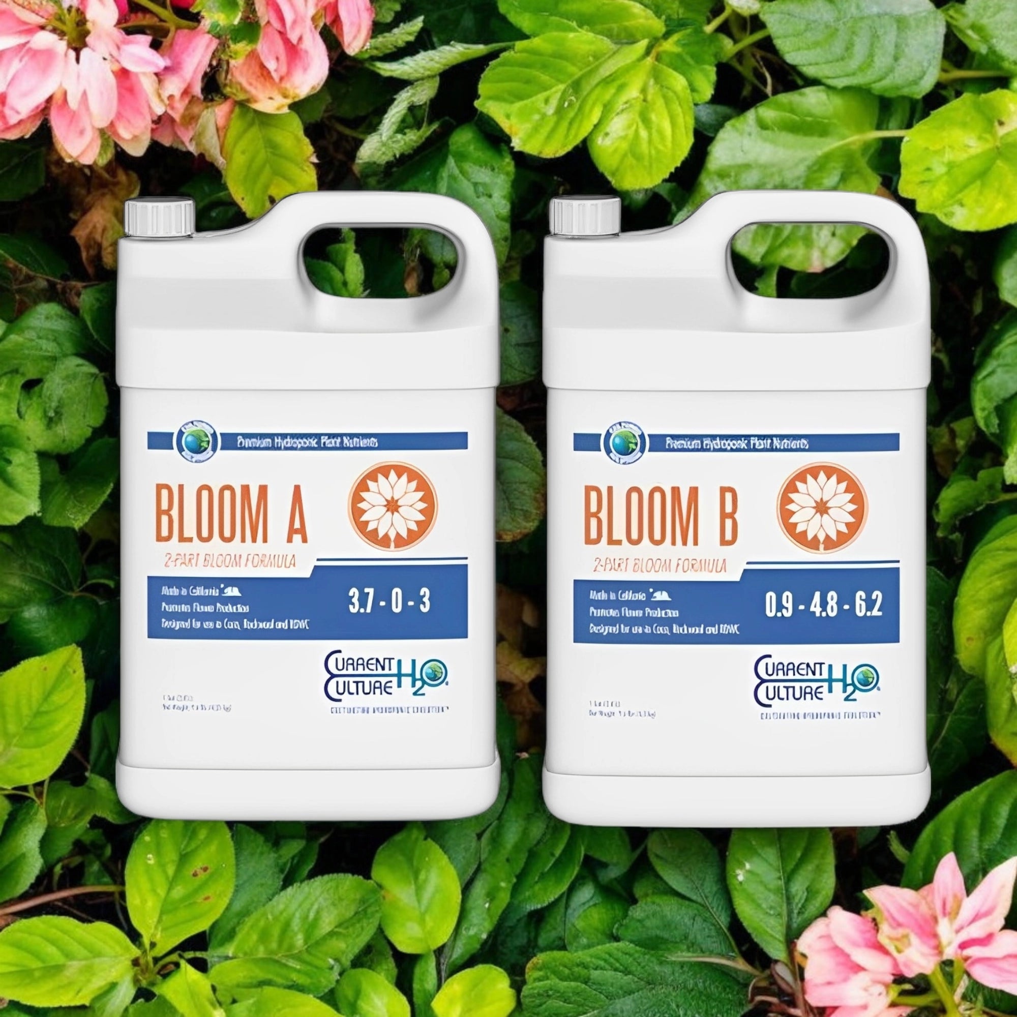 Cultured Solutions Bloom A & B