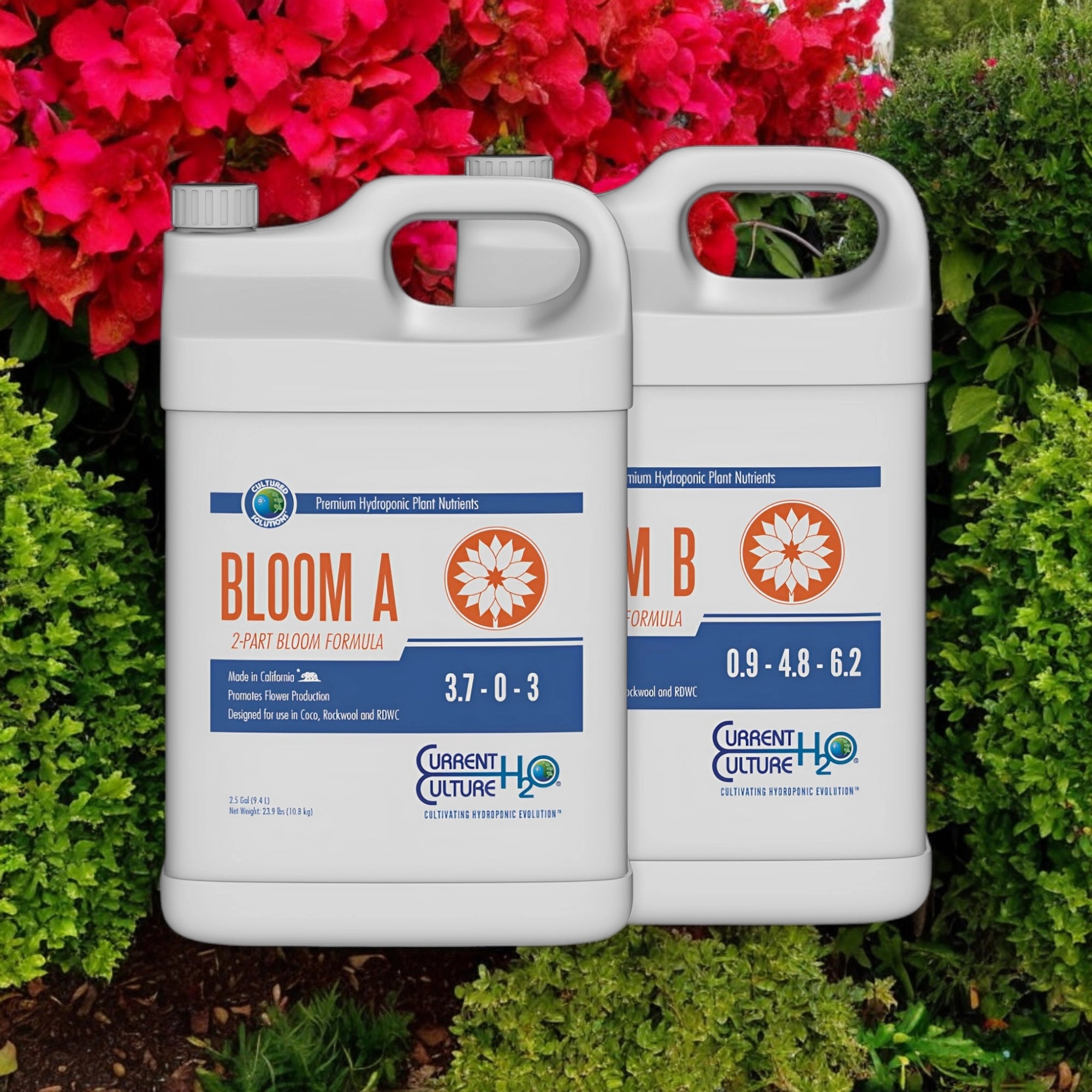 Cultured Solutions Bloom A & B