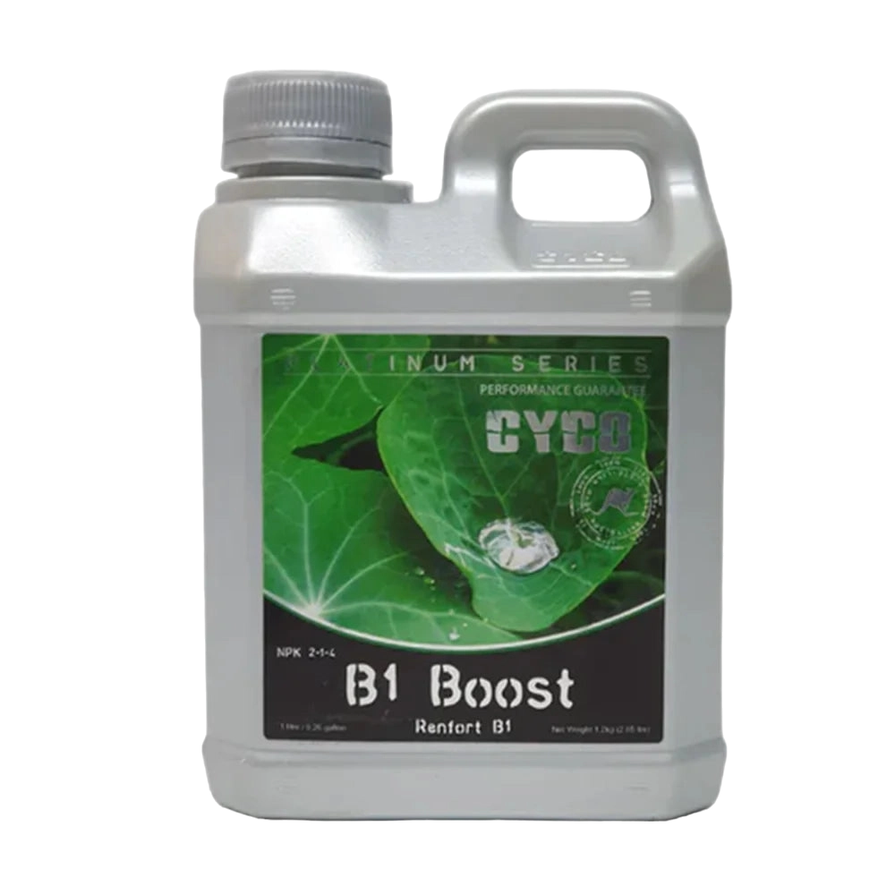 Cyco B1 Boost