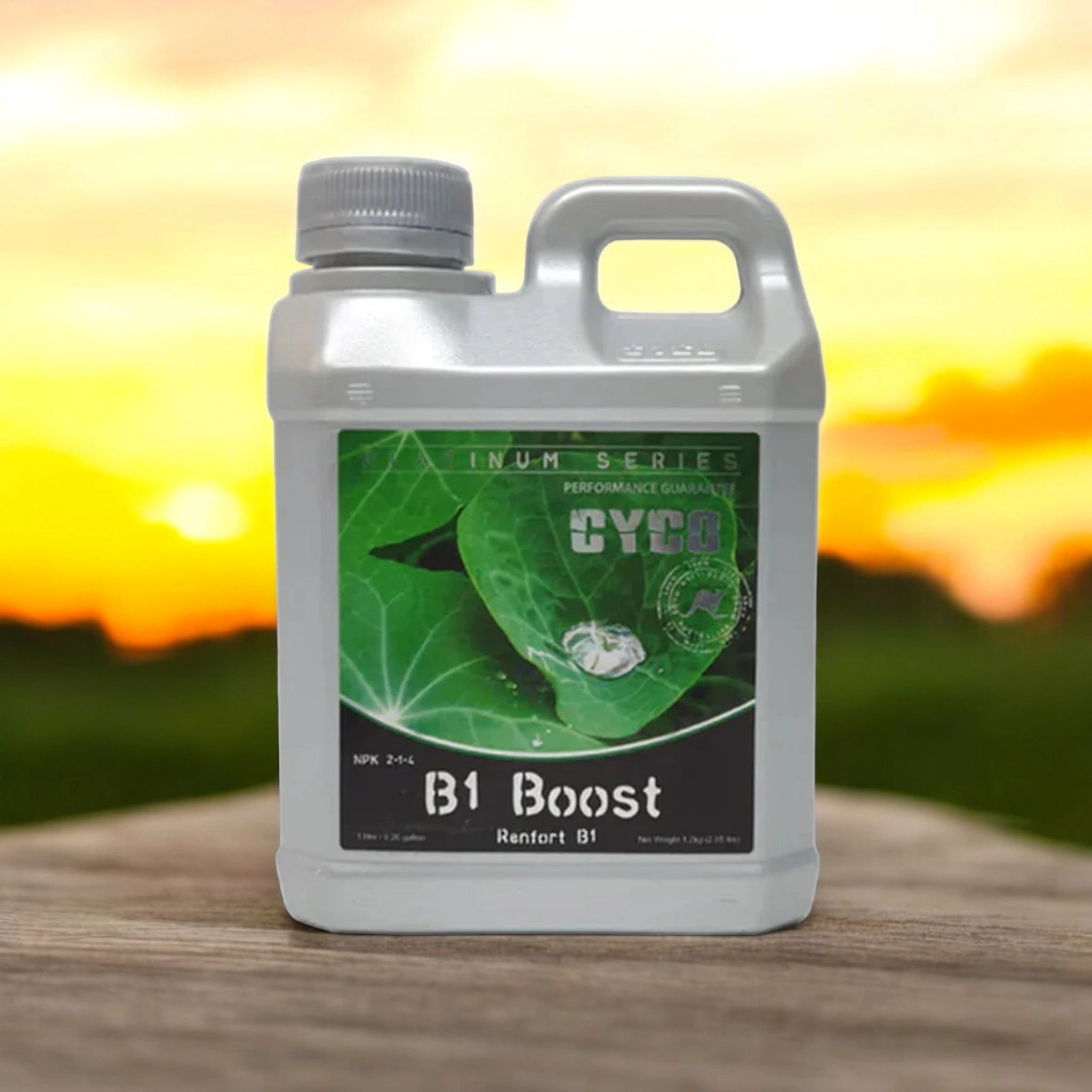 Cyco B1 Boost