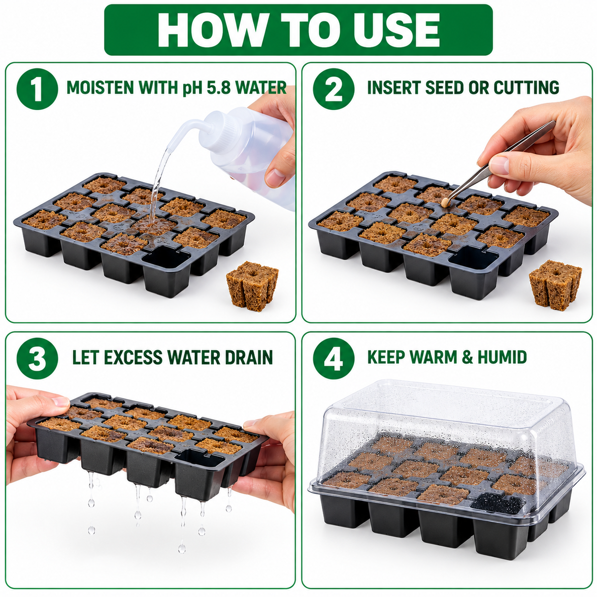 AI-created four-step guide to moistening, planting, draining and maintaining Eazy Plug starter plugs.