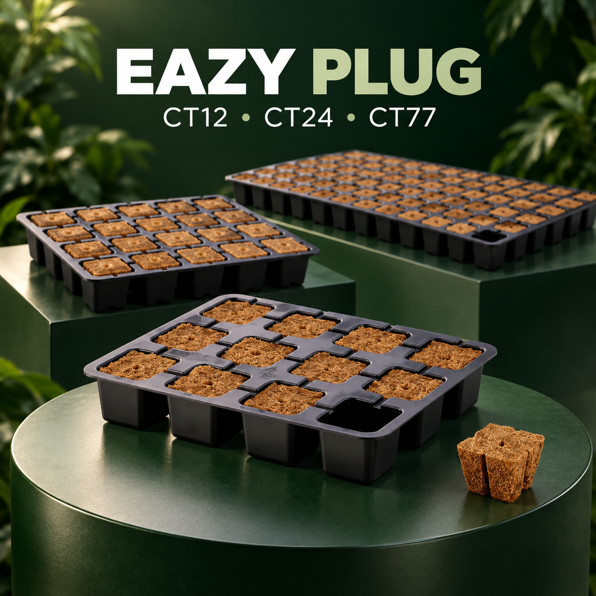 AI-created premium studio render of Eazy Plug CT12, CT24 and CT77 propagation trays.