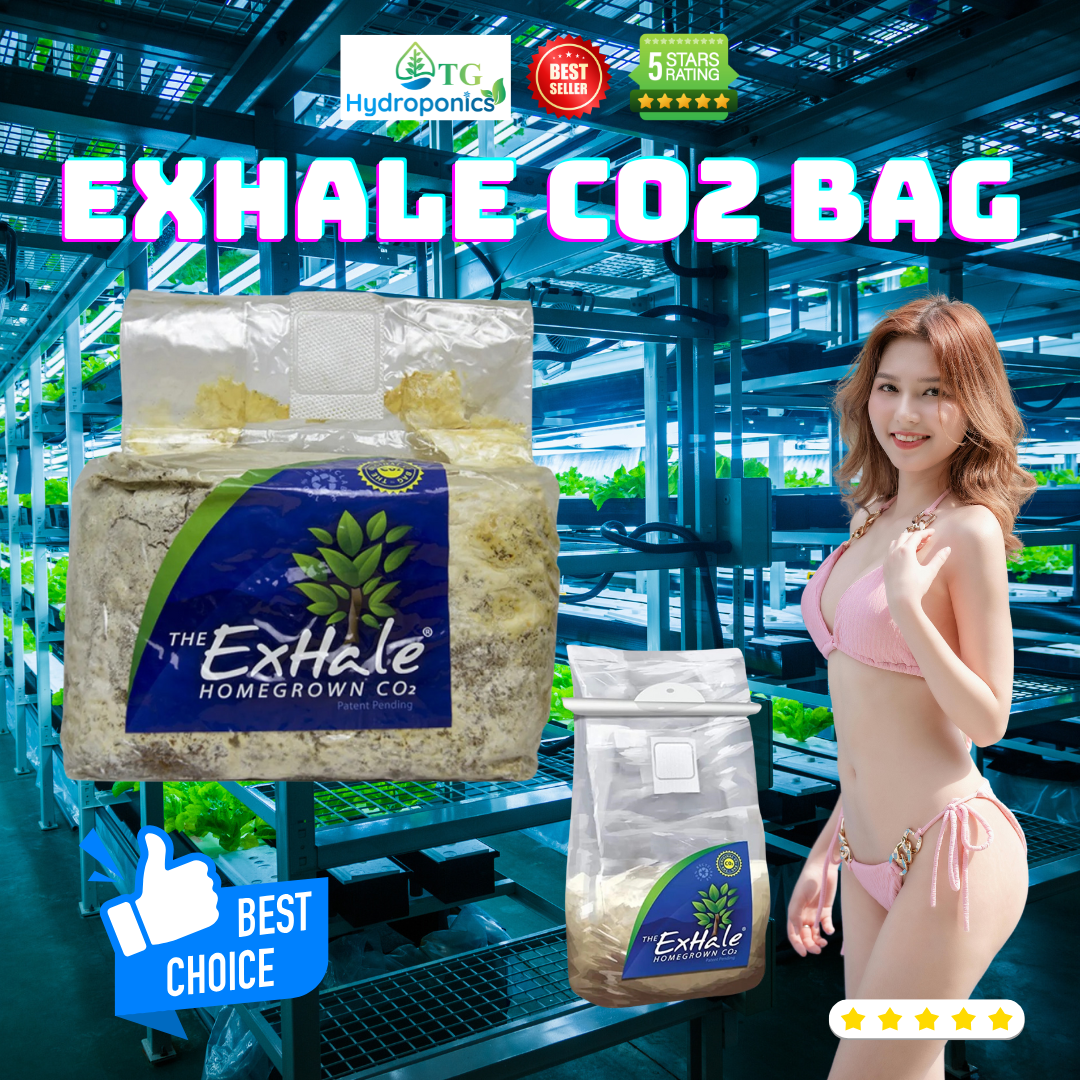 ExHale CO2 Bag
