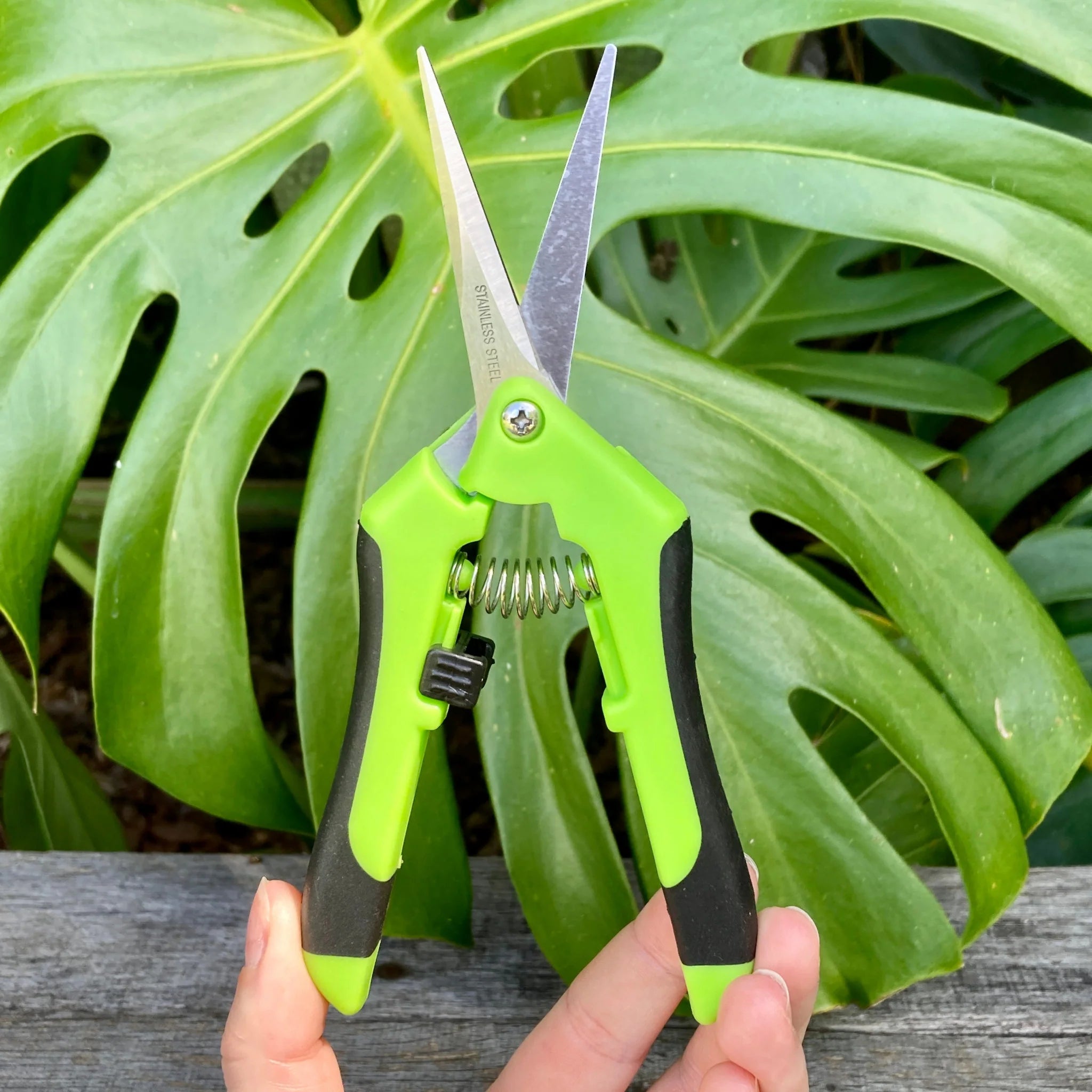 Hydro Axis Scissors/Pruners