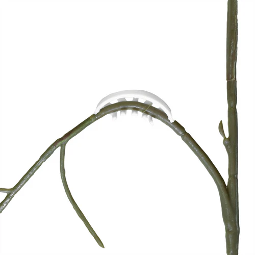 Grow Bits Plant Bends - 50 Pack