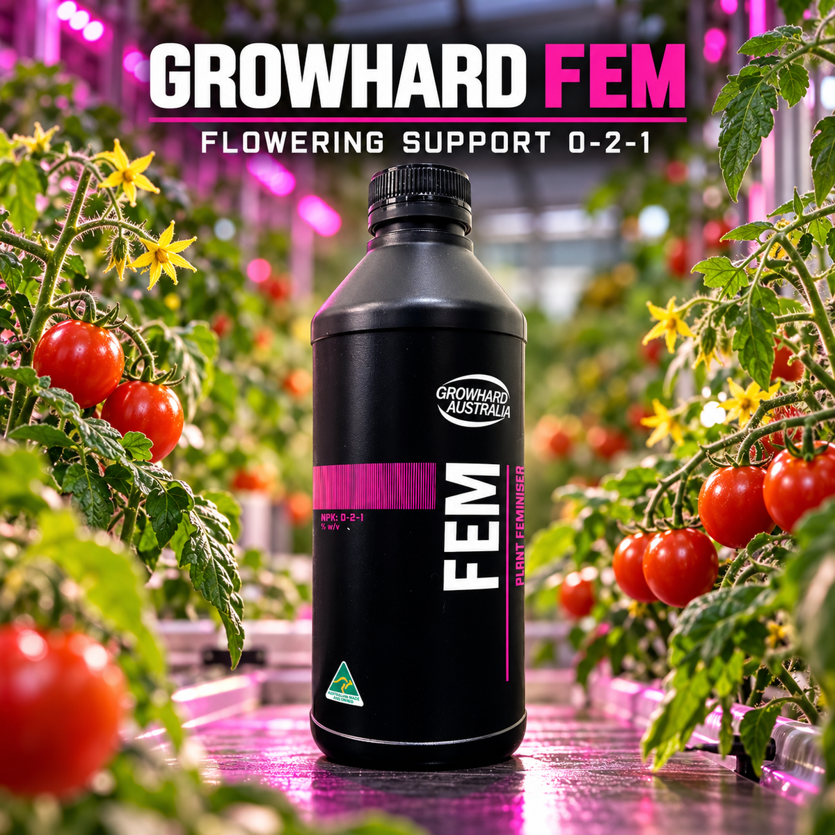 General advertisement for Growhard FEM 0-2-1 in a flowering tomato greenhouse, identifying the product as a flowering-stage additive.