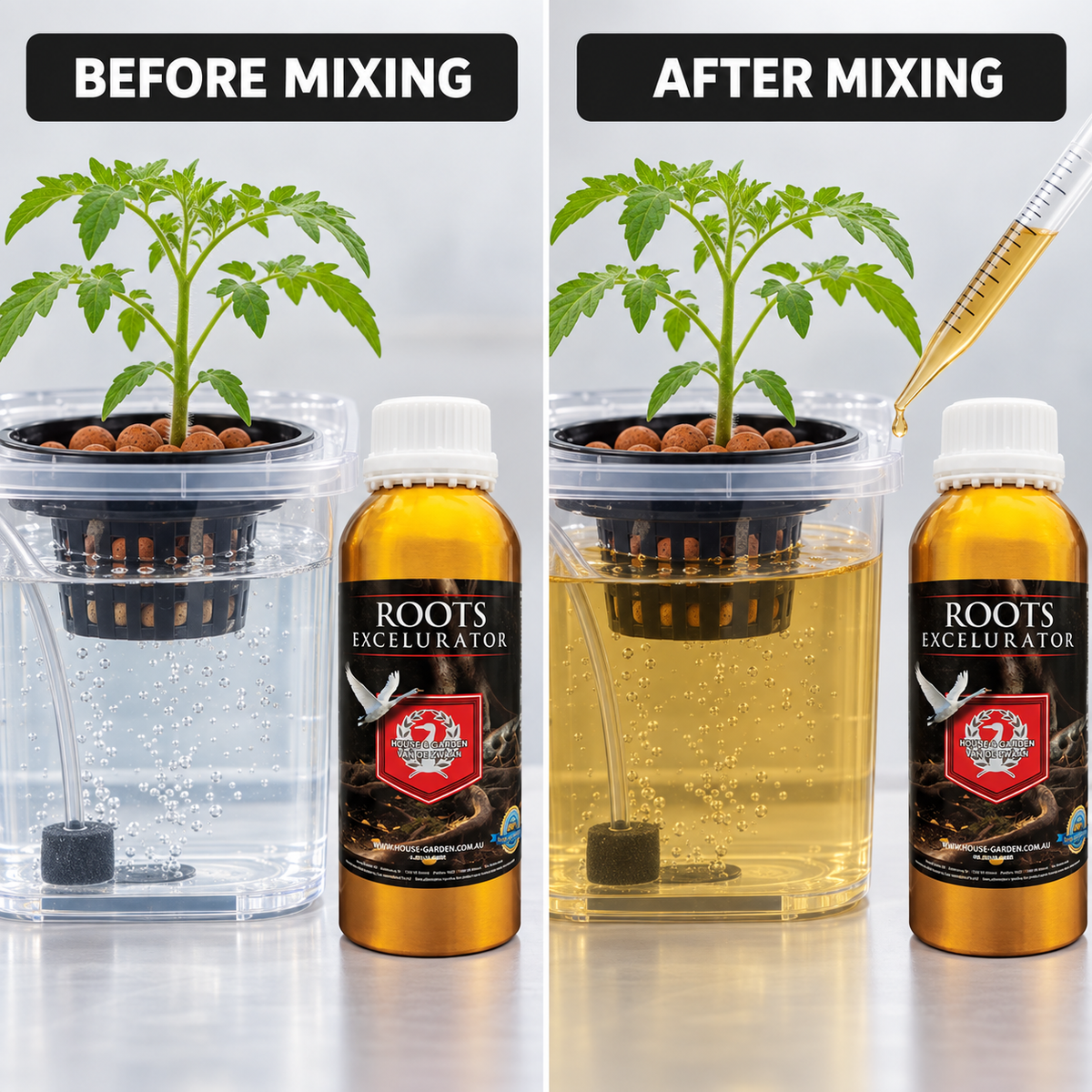 Before-and-after mixing setup showing the same tomato plant and reservoir before and after Roots Excelurator is measured; application step only.