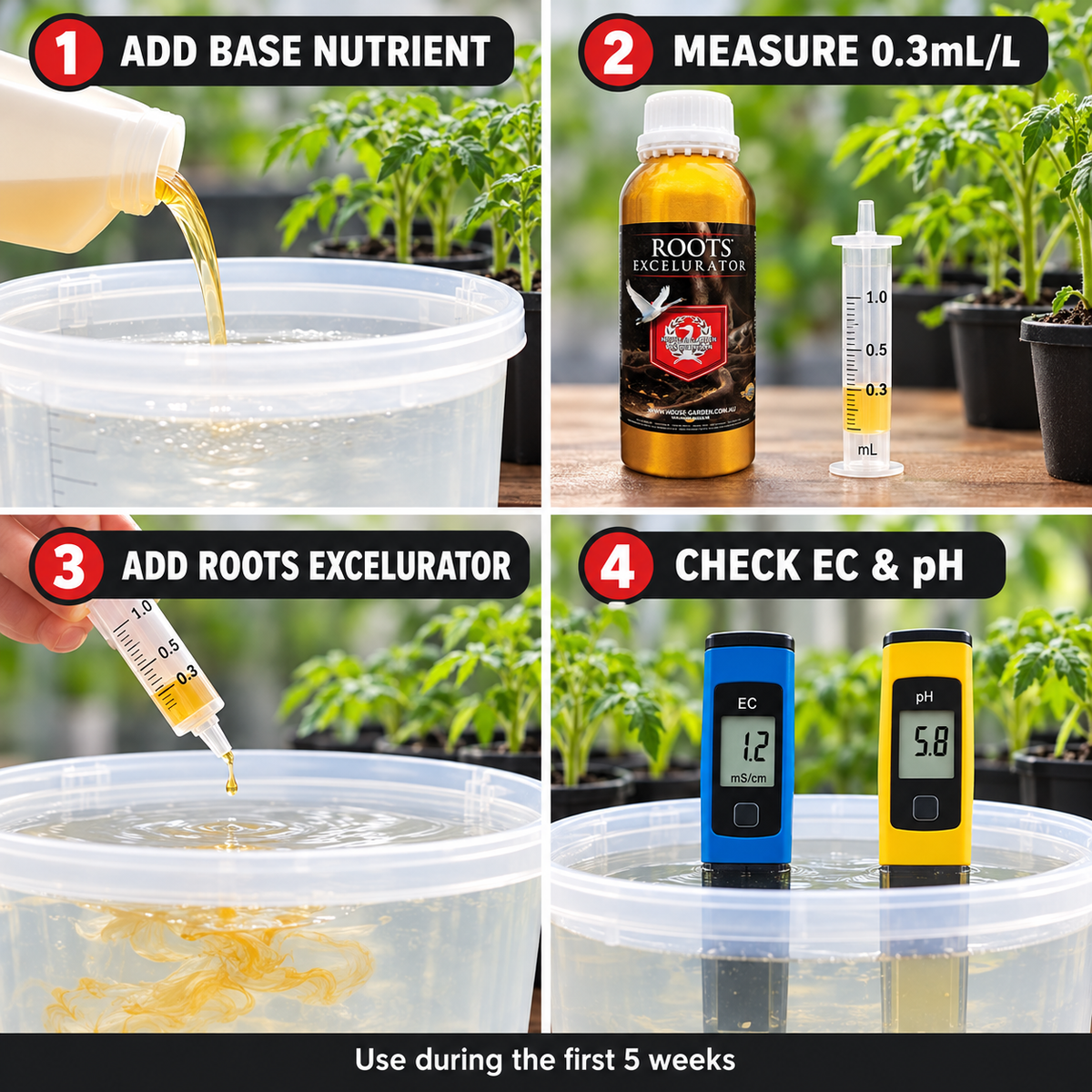Four-step Roots Excelurator guide: add base nutrient, measure 0.3mL/L, add Roots Excelurator, then check EC and pH.