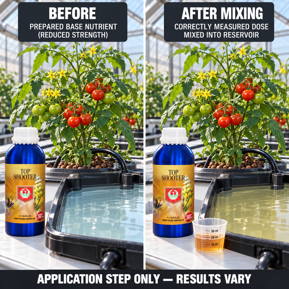 Before-and-after application setup showing the same flowering tomato plant and reservoir before and after Top Shooter is correctly measured and mixed.