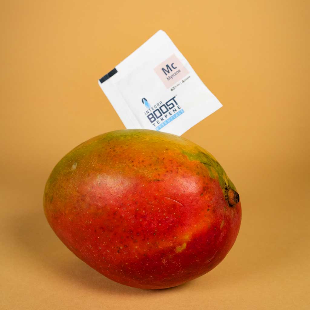 Integra Boost Terpene 62% Myrcene 4g