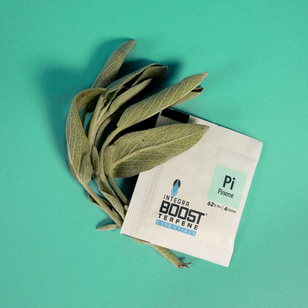 Integra Boost Terpene 62% Pinene 4g