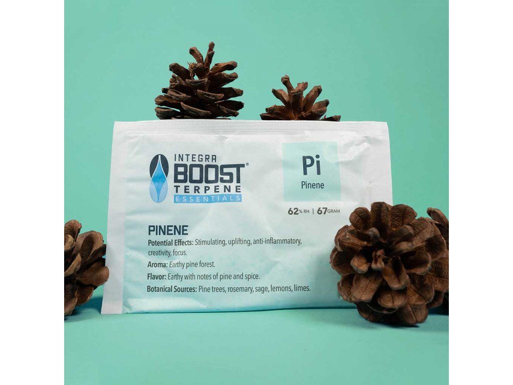 Integra Boost Terpene 62% Pinene 4g