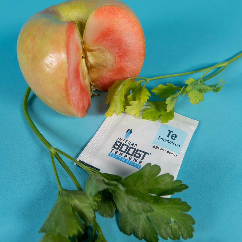 Integra Boost Terpene 62% Terpinolene 4g