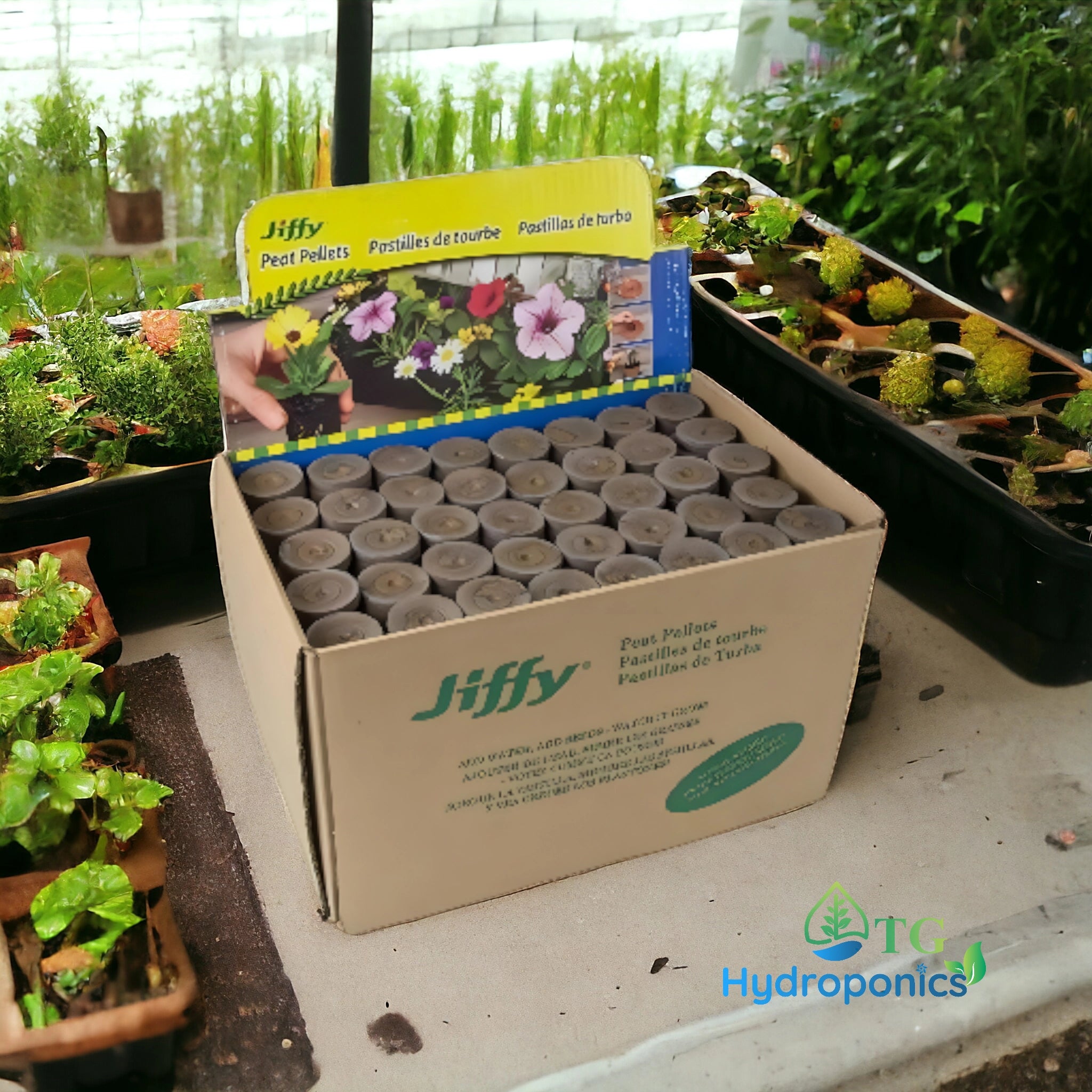 42MM JIFFY COCO COIR PROPAGATION PALLETS - 1000 PCS