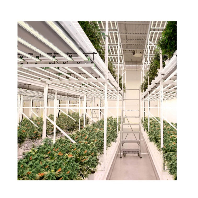 LED BAR MARS HYDRO- FC 8000 | True Power Consumption: 800W | Efficacy: 2.9μmol/J | IP65