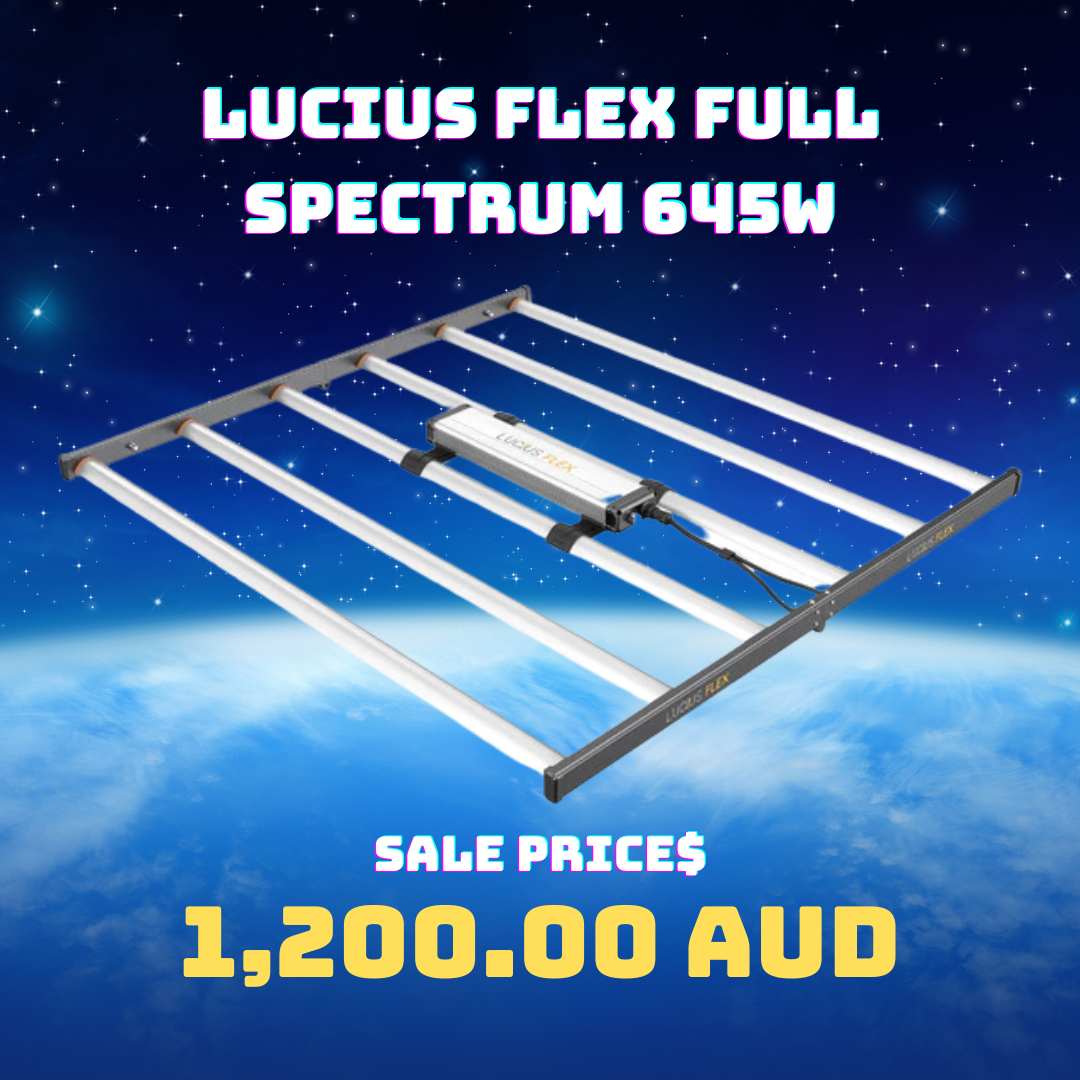 Lucius Flex Full Spectrum 645W