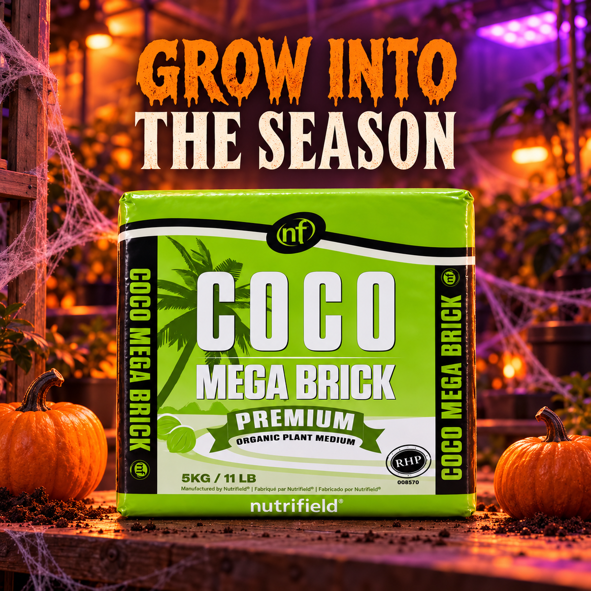AI-created Halloween hero featuring Nutrifield Coco Brick Mega 5KG with orange-purple greenhouse lighting, pumpkins and subtle cobwebs.