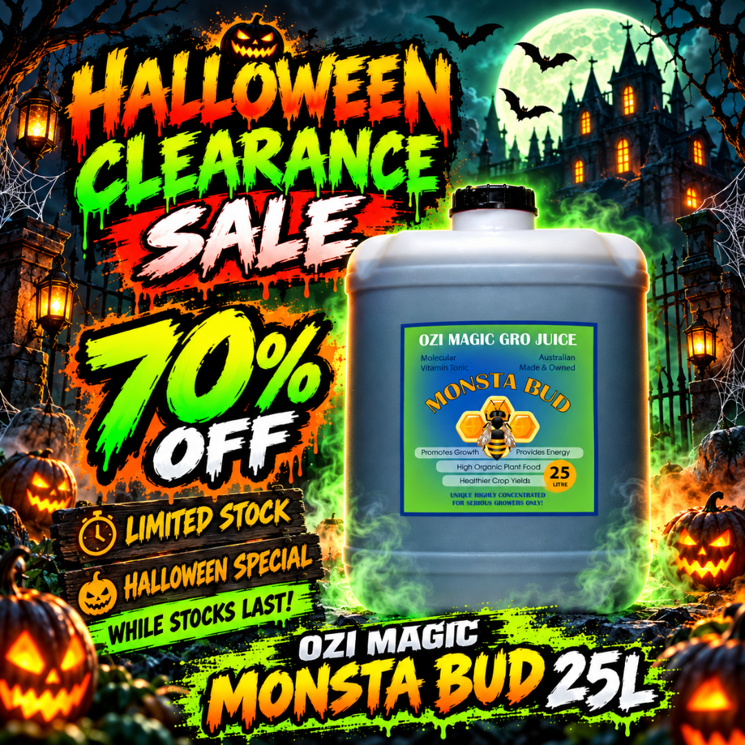 Ozi Magic Monsta Bud: Flower & Bud Booster Guide