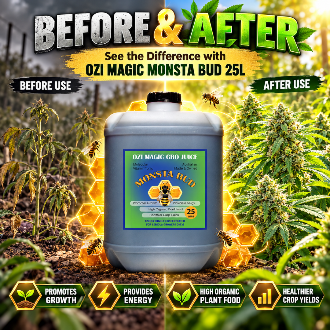 Ozi Magic Monsta Bud: Flower & Bud Booster Guide