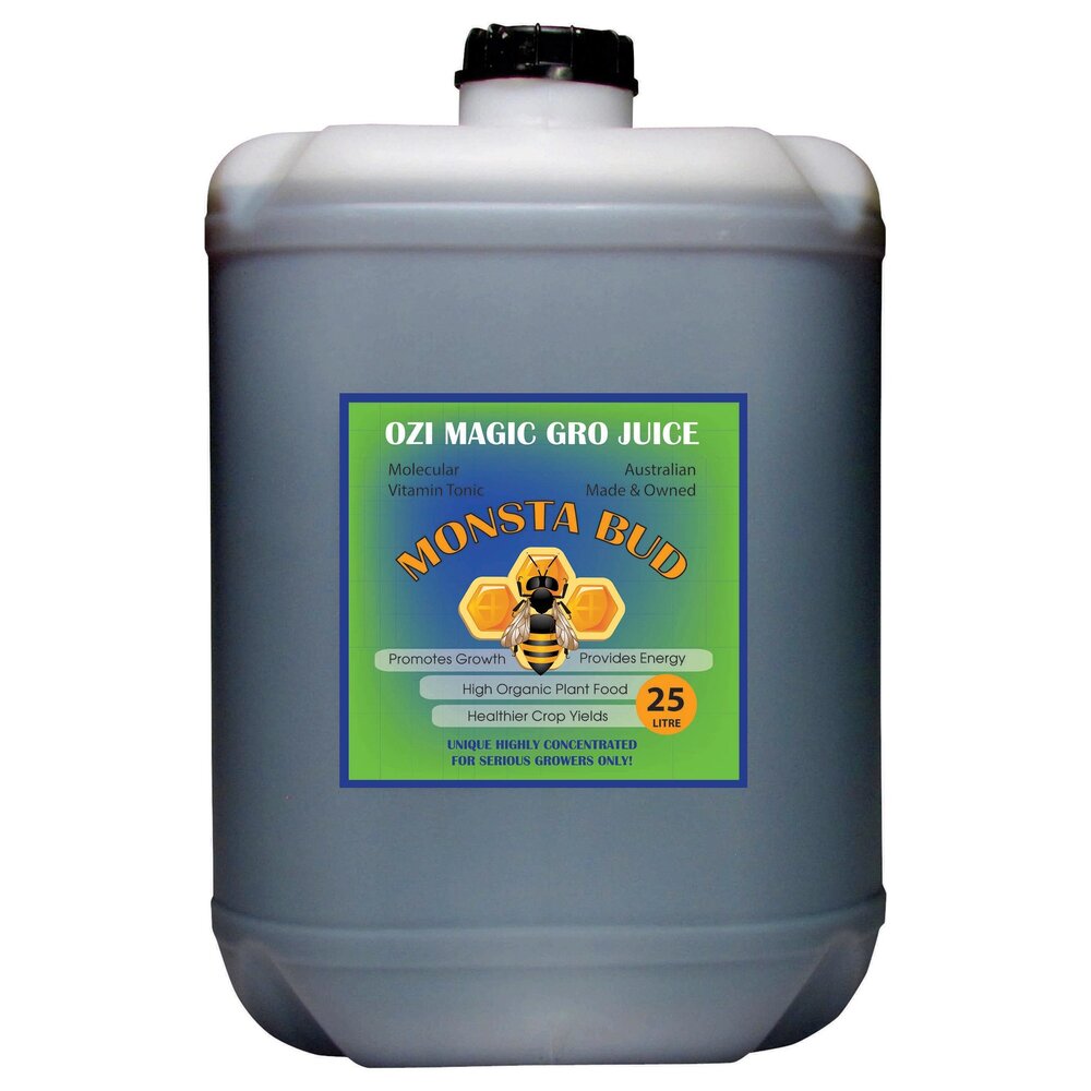 OZI MAGIC MONSTA BUD