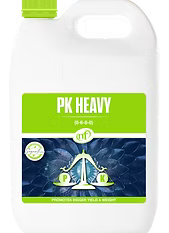 PK HEAVY