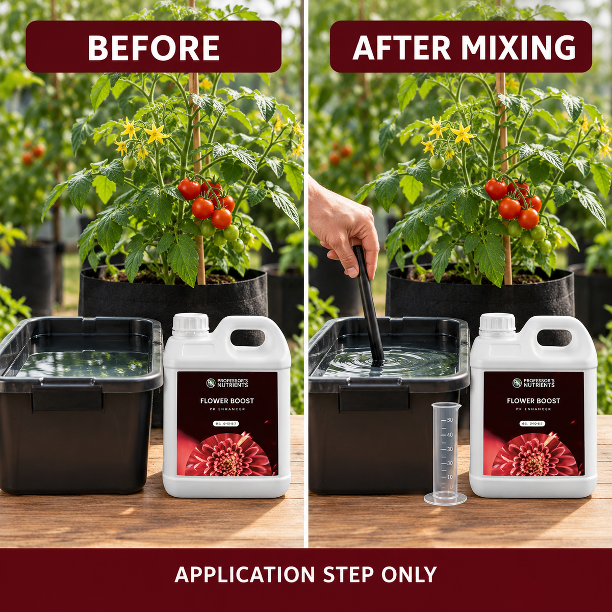 Before-and-after application setup showing the same flowering tomato plant and reservoir before and after PROFESSORS FLOWER BOOST is mixed; application step only.