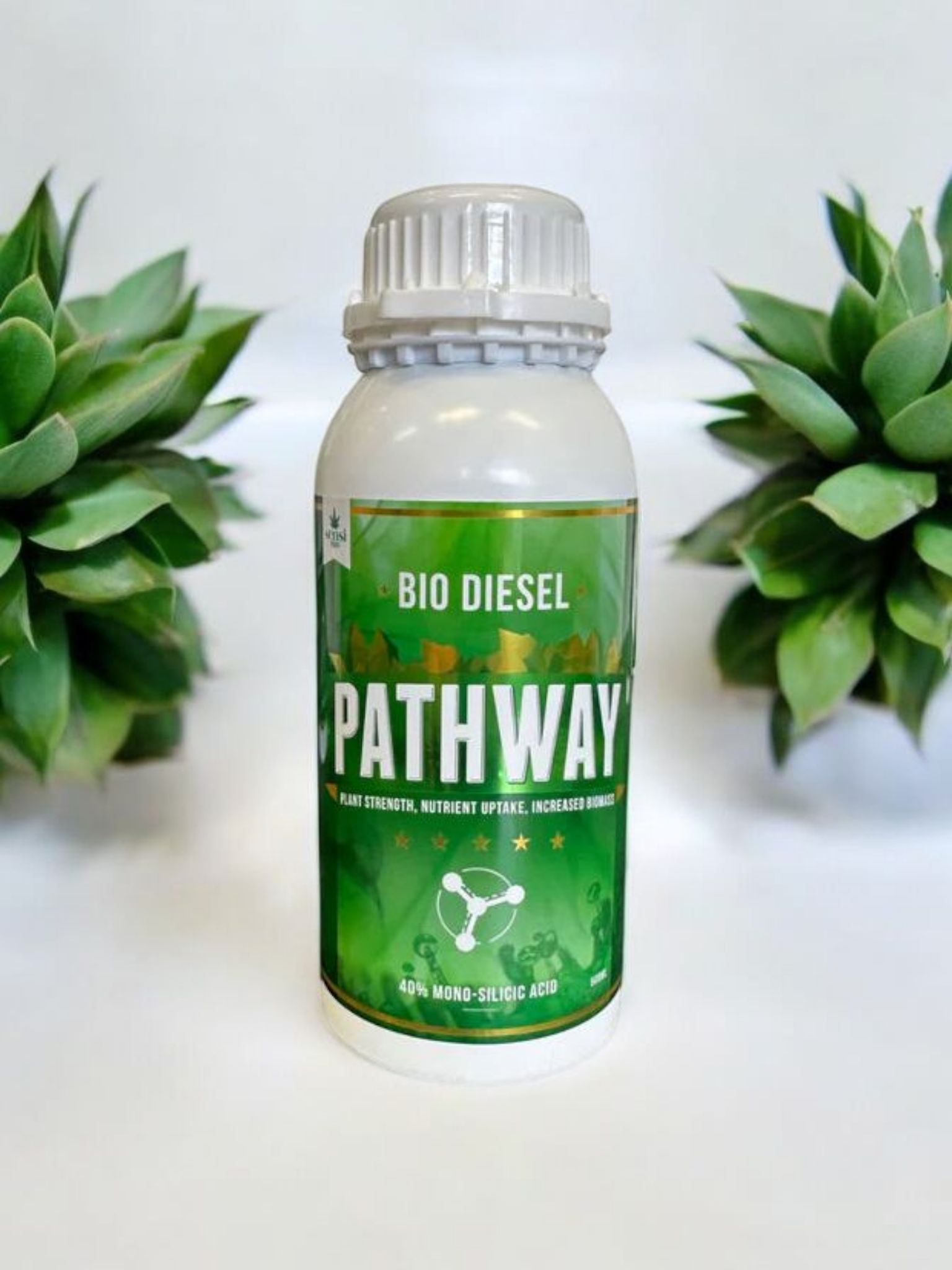 Pathway 40% Mono Silicic Acid