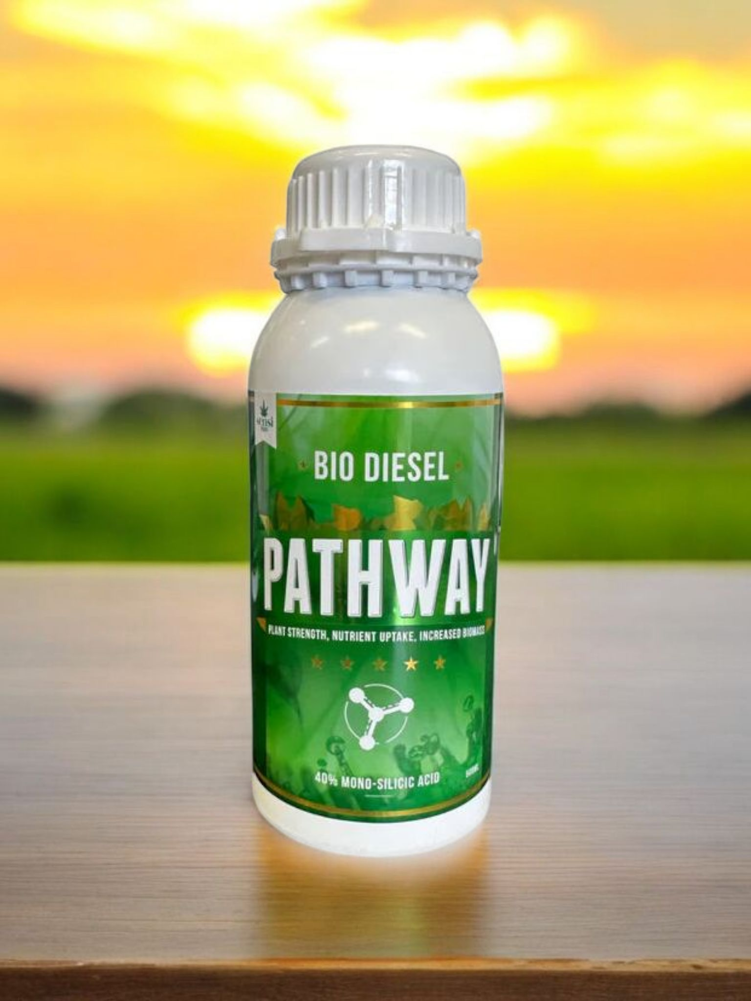 Pathway 40% Mono Silicic Acid