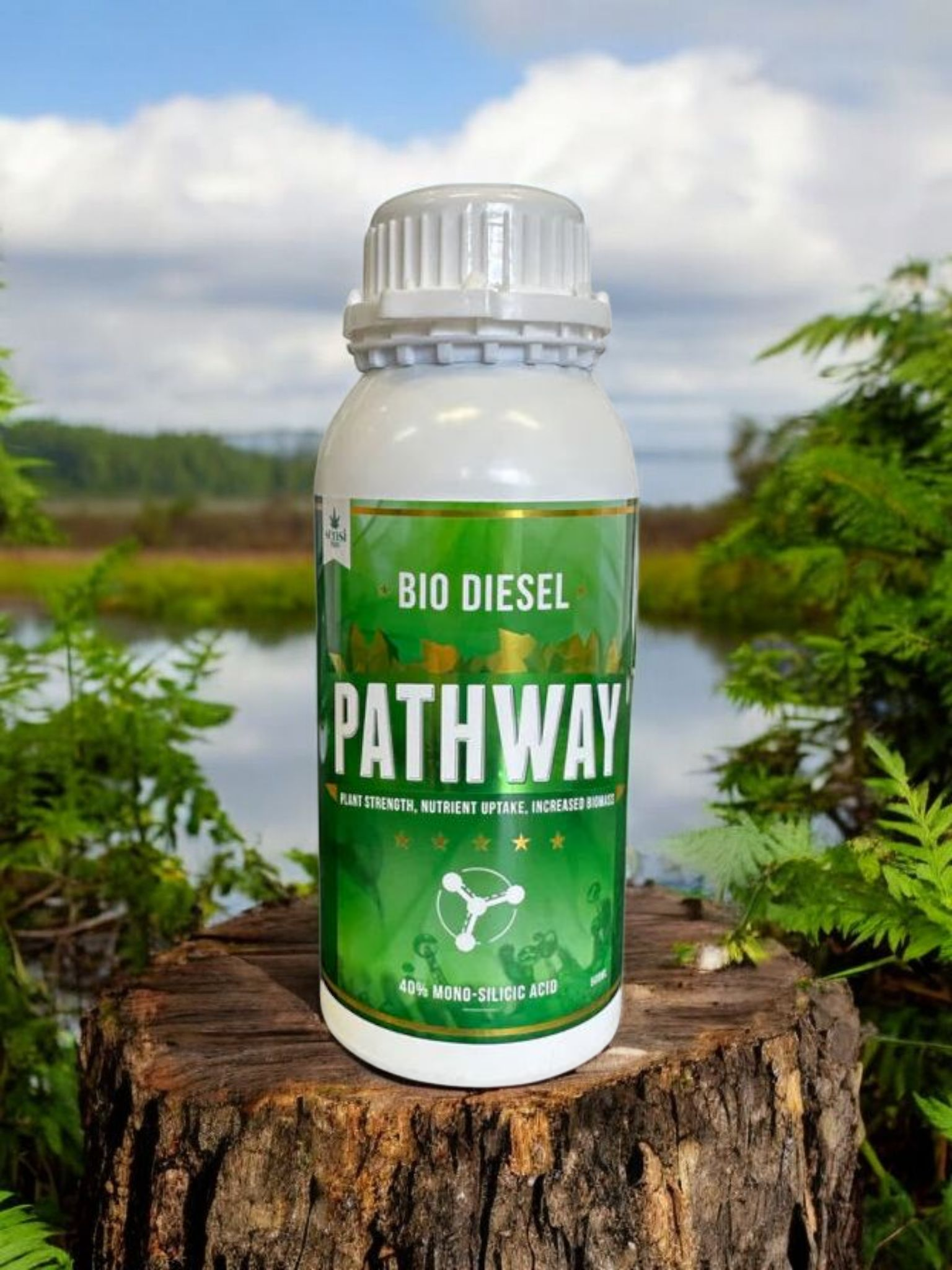 Pathway 40% Mono Silicic Acid