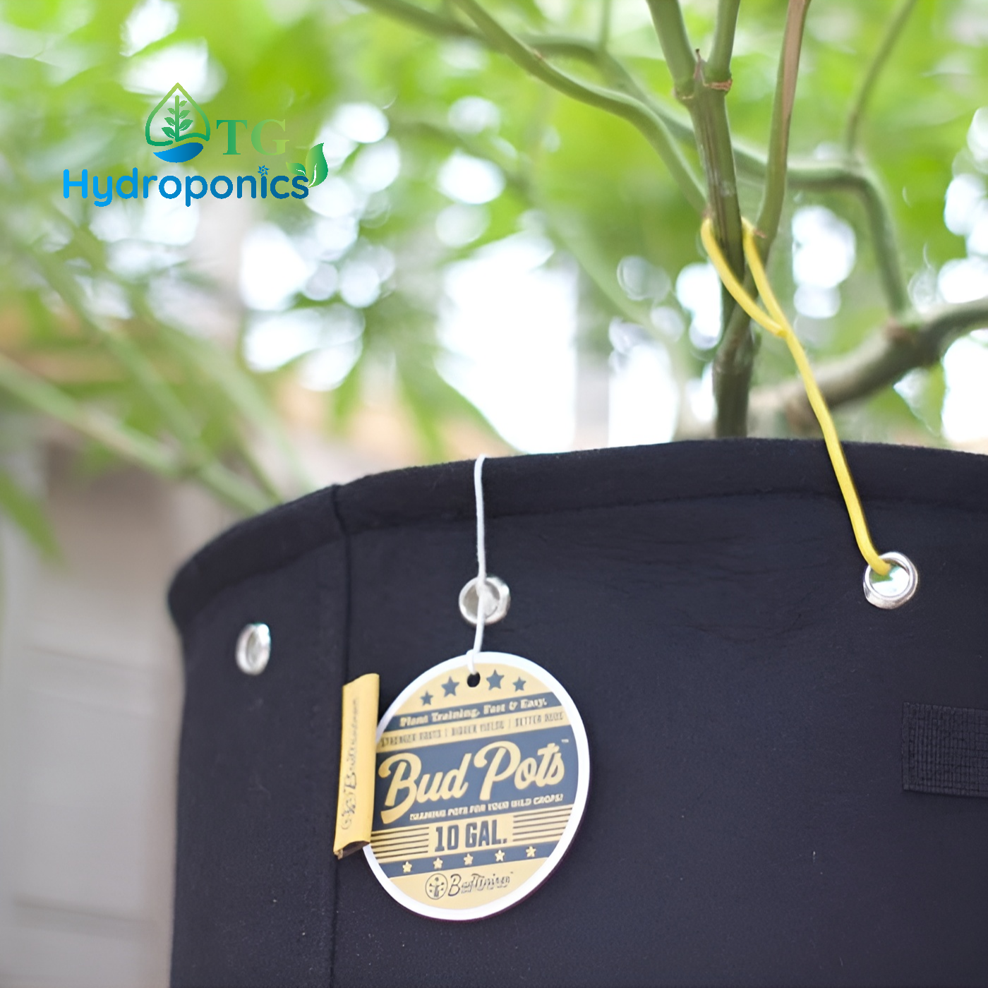 Bud Trainer Fabric BudPots