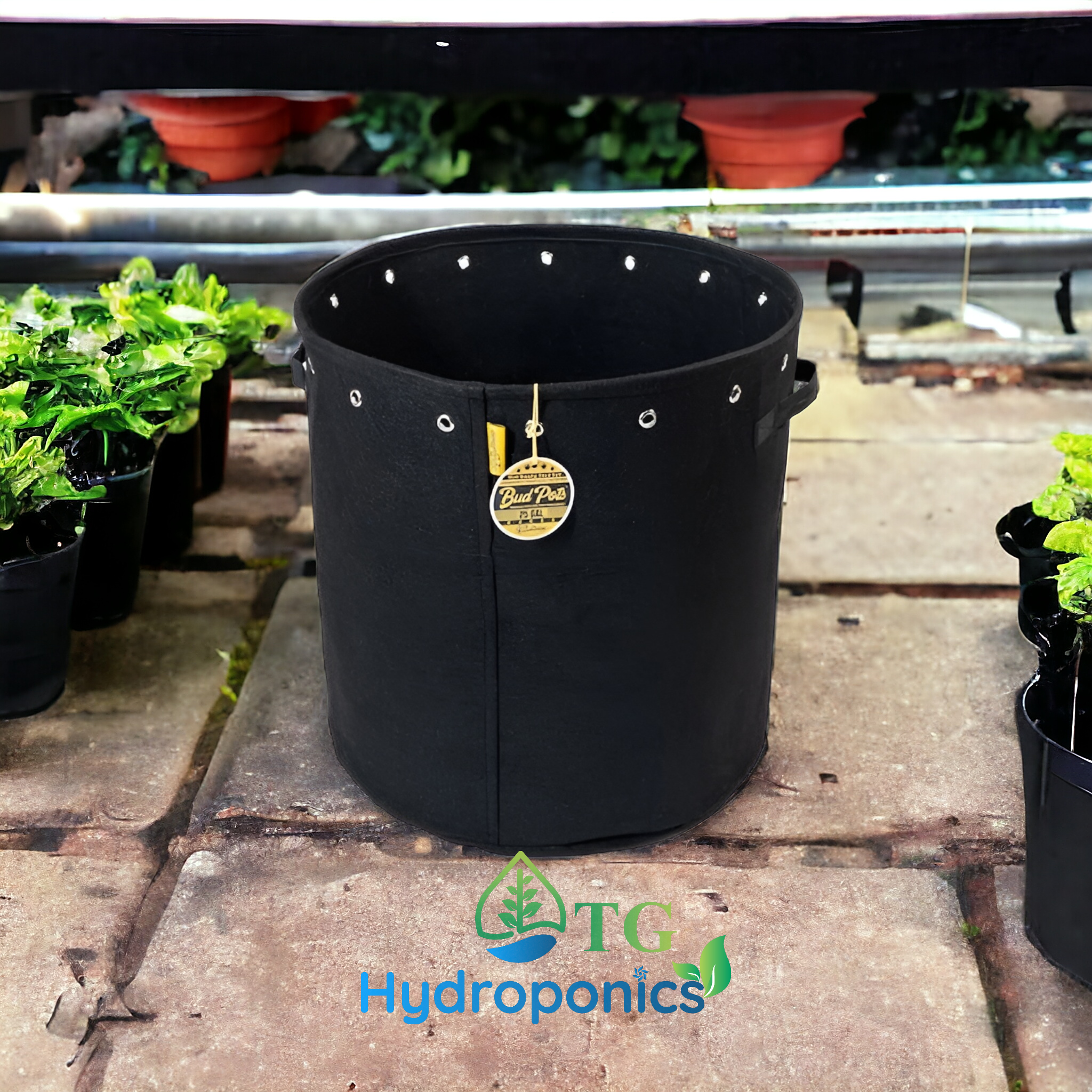 Bud Trainer Fabric BudPots