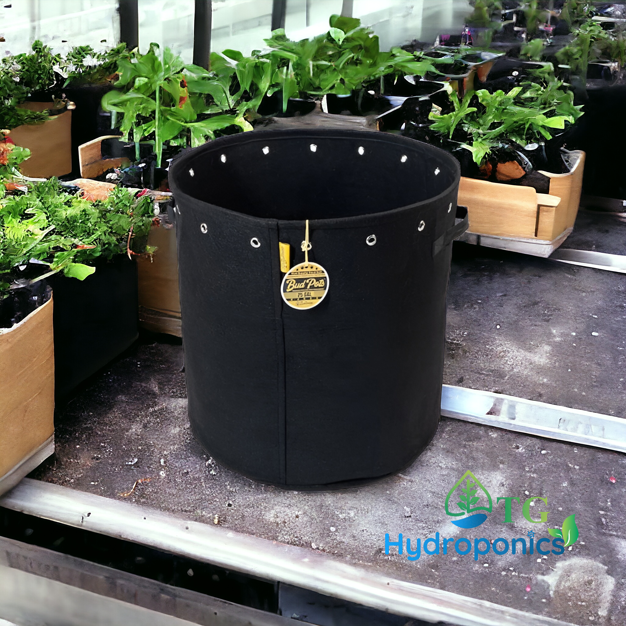 Bud Trainer Fabric BudPots