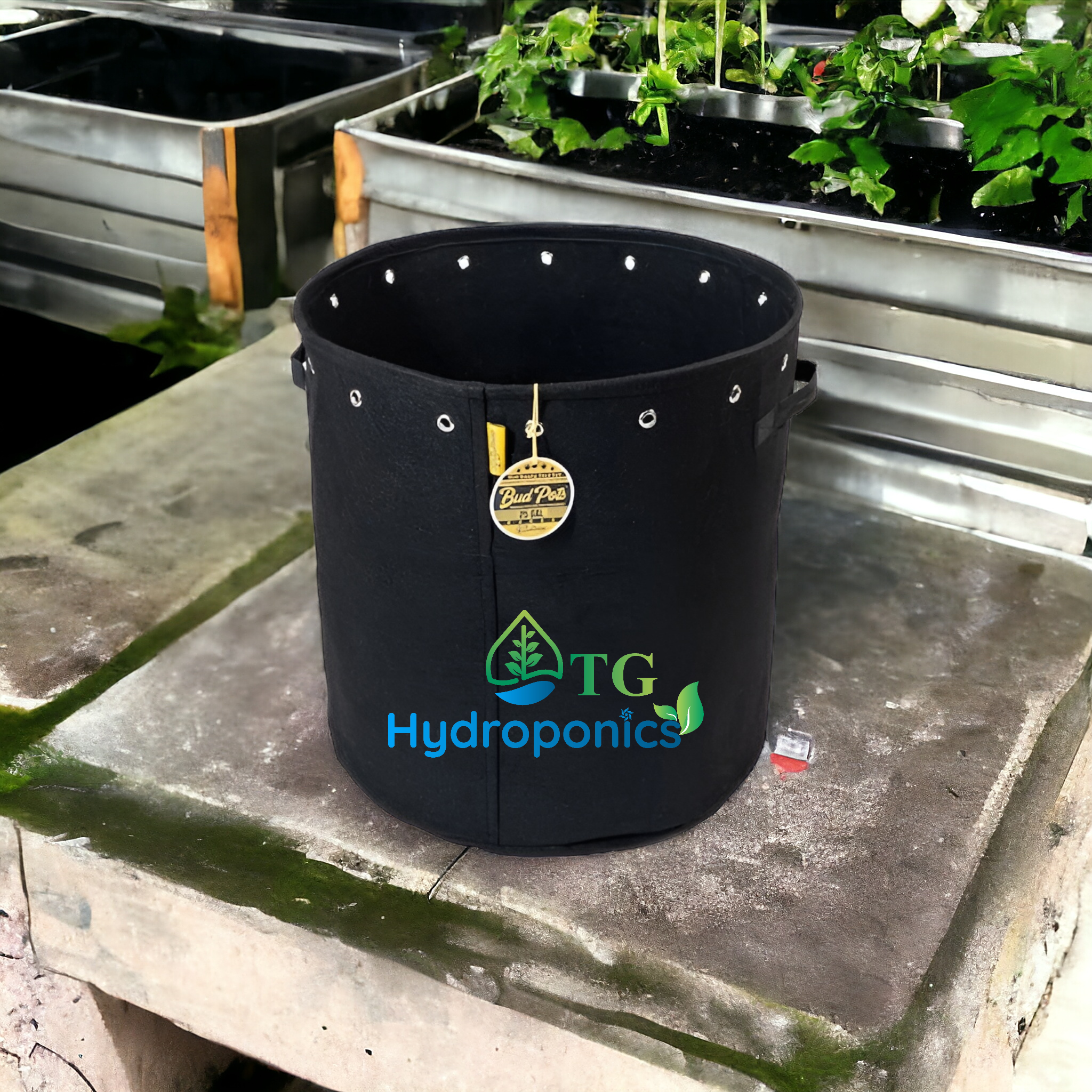 Bud Trainer Fabric BudPots