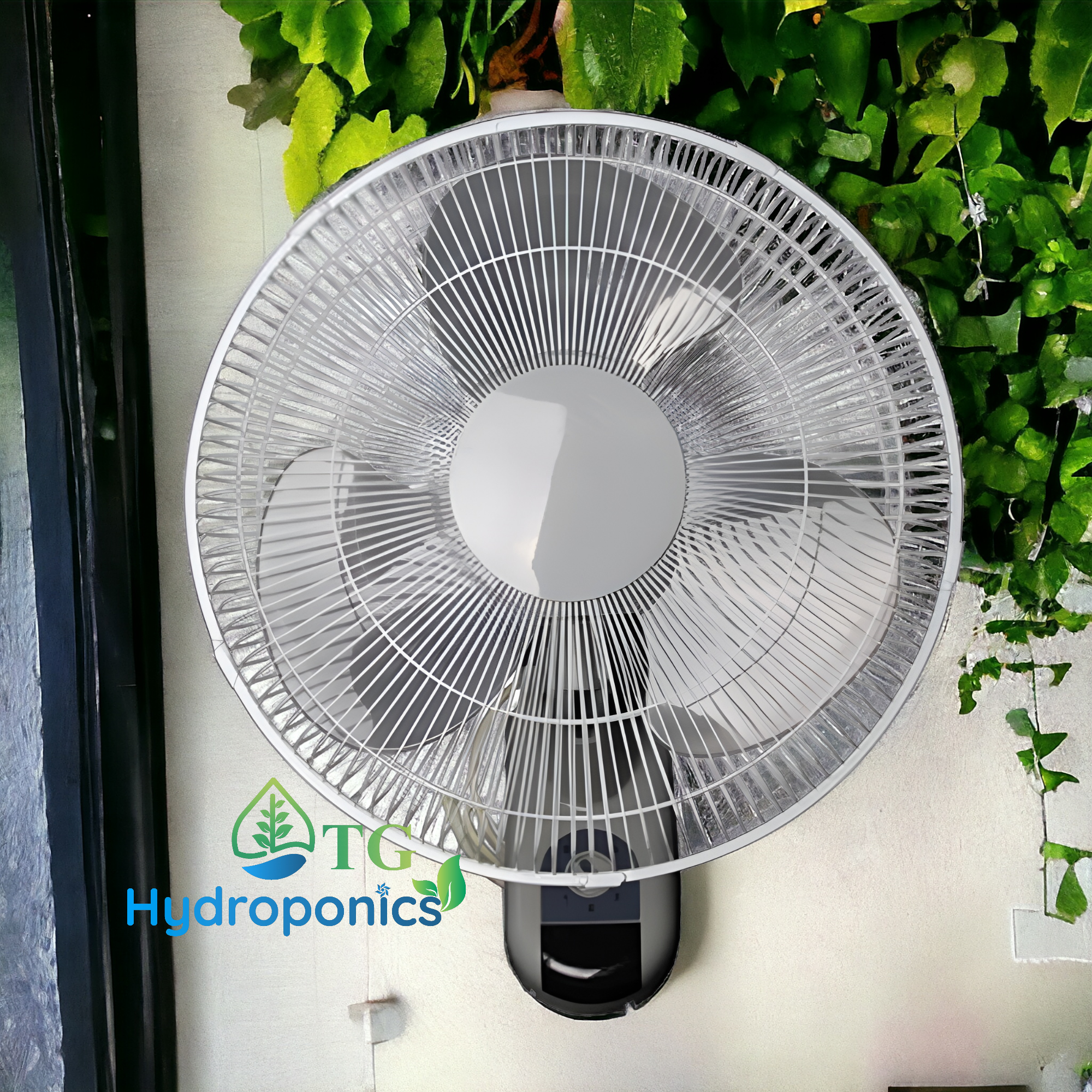 Growlite Wall Fan