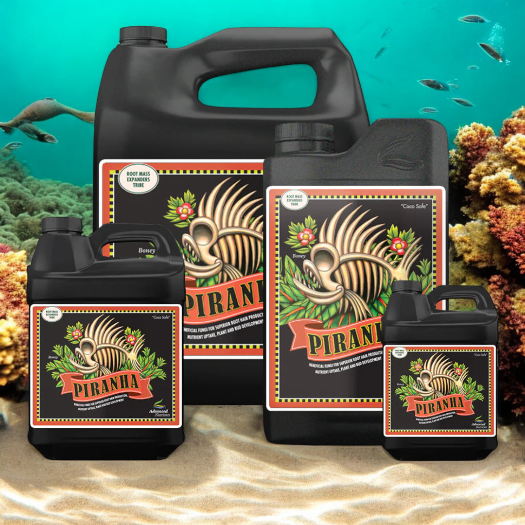 Piranha Advanced Nutrients