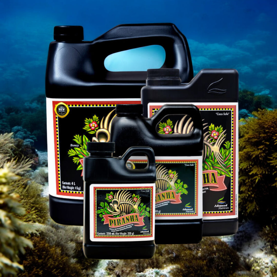 Piranha Advanced Nutrients
