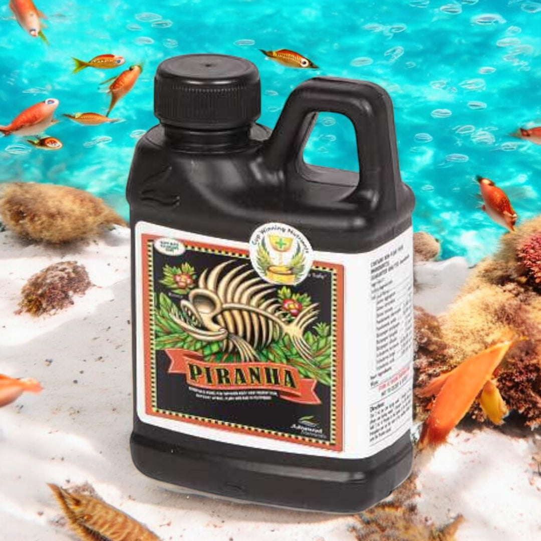 Piranha Advanced Nutrients
