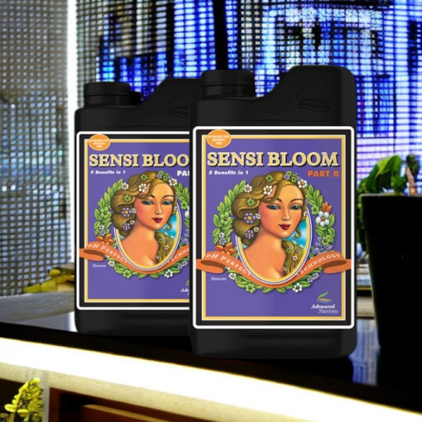 Advanced Nutrients Sensi Bloom A & B