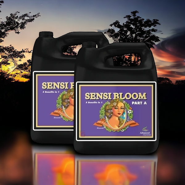 Advanced Nutrients Sensi Bloom A & B