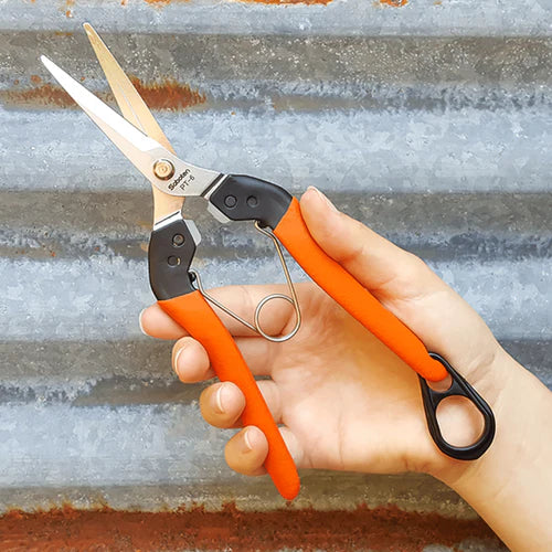 Saboten Harvesting Shears PT-6