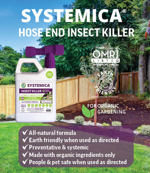 SIERRA SYSTEMICA HOSE END INSECTICIDE SPRAYER 946ML