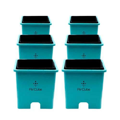 AirCube Active Oxygen 6 Site Grow Cubes