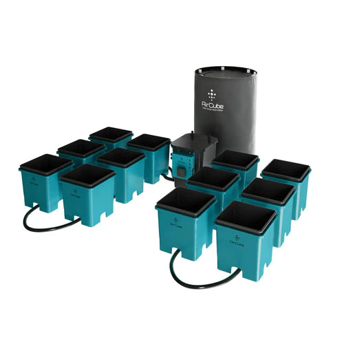AirCube Active Oxygen Ebb and Flow 12 Pot Site
